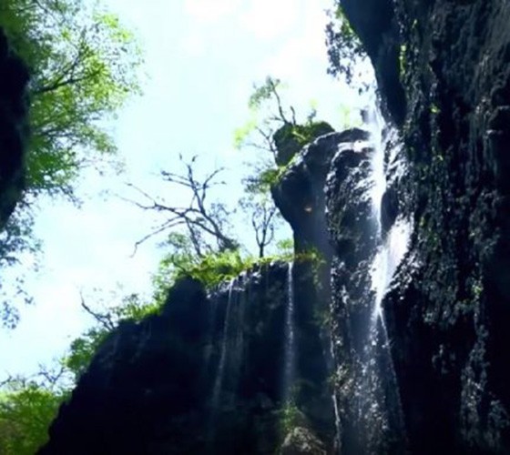 青山綠水，白龍江畔江畔息白鷺，兩岸綠橄欖入眼的都是純樸自然枝上花開(kāi)，春來(lái)水暖魚(yú)蝦戲水，鳥(niǎo)語(yǔ)花香心中充滿(mǎn)著舒暢之感祥宇生態(tài)產(chǎn)業(yè)園，位于隴南市武..